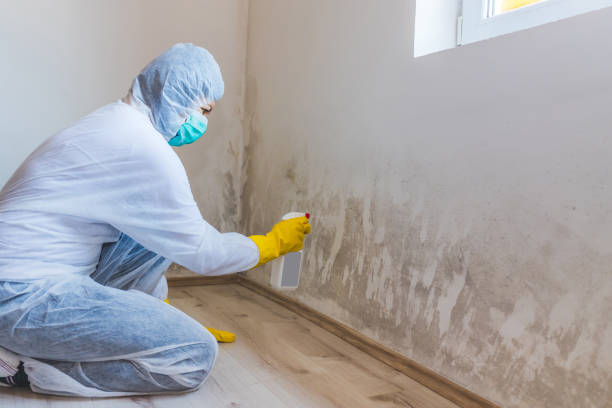 Hvac And Air Duct Mold Remediation inspection of HVAC system in Unionville